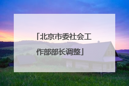 北京市委社会工作部部长调整