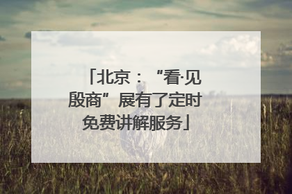 北京：“看·见殷商”展有了定时免费讲解服务