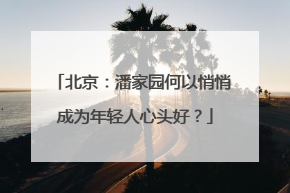 北京：潘家园何以悄悄成为年轻人心头好？