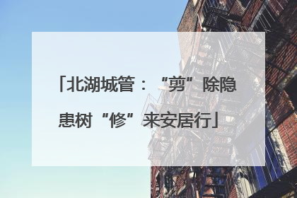 北湖城管：“剪”除隐患树“修”来安居行
