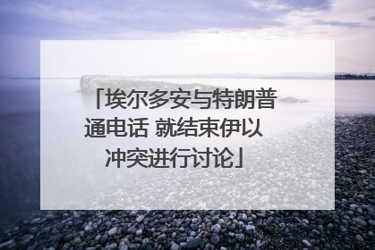 埃尔多安与特朗普通电话 就结束伊以冲突进行讨论