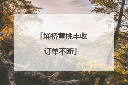 埇桥黄桃丰收 订单不断