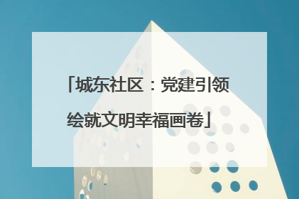 城东社区：党建引领绘就文明幸福画卷