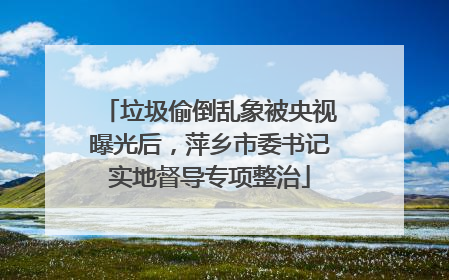 垃圾偷倒乱象被央视曝光后，萍乡市委书记实地督导专项整治