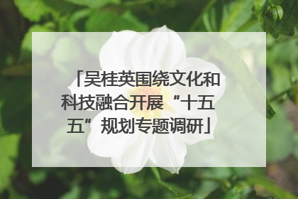 吴桂英围绕文化和科技融合开展“十五五”规划专题调研