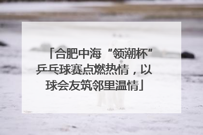 合肥中海“领潮杯”乒乓球赛点燃热情，以球会友筑邻里温情
