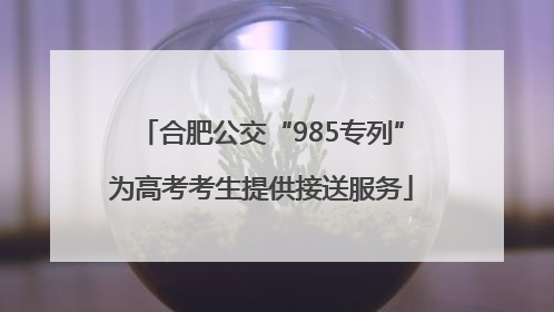 合肥公交“985专列”为高考考生提供接送服务