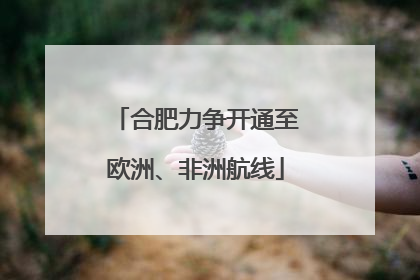 合肥力争开通至欧洲、非洲航线