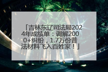 吉林东辽司法局2024年成绩单：调解2000+纠纷，1.7万份普法材料飞入百姓家！