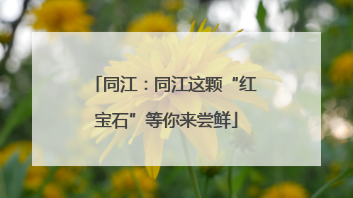 同江：同江这颗“红宝石”等你来尝鲜