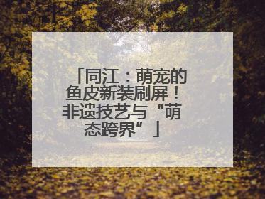 同江：萌宠的鱼皮新装刷屏！非遗技艺与“萌态跨界”