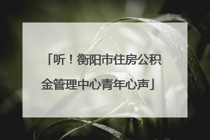 听！衡阳市住房公积金管理中心青年心声