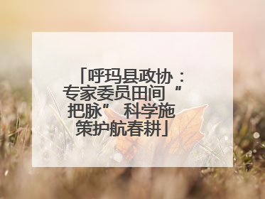 呼玛县政协：专家委员田间“把脉” 科学施策护航春耕