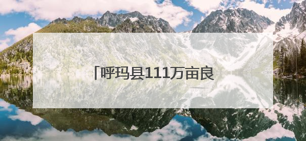 呼玛县111万亩良田“播种收官”科技护航蓄力“金秋丰景”