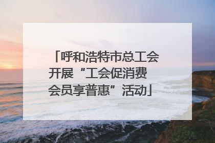 呼和浩特市总工会开展“工会促消费 会员享普惠”活动