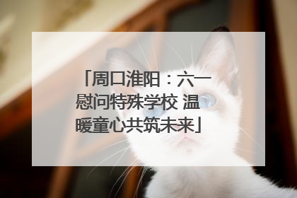 周口淮阳：六一慰问特殊学校 温暖童心共筑未来