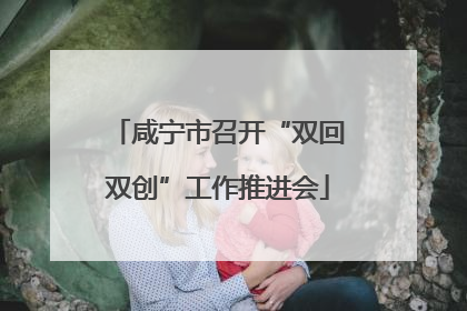 咸宁市召开“双回双创”工作推进会