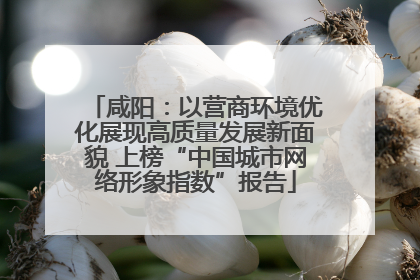 咸阳：以营商环境优化展现高质量发展新面貌 上榜“中国城市网络形象指数”报告