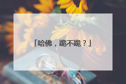 哈佛，跪不跪？
