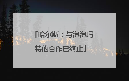 哈尔斯：与泡泡玛特的合作已终止