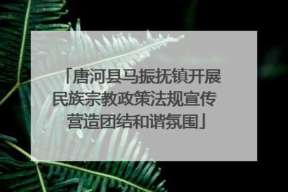 唐河县马振抚镇开展民族宗教政策法规宣传 营造团结和谐氛围