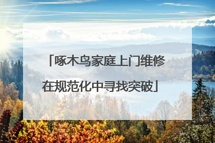 啄木鸟家庭上门维修在规范化中寻找突破