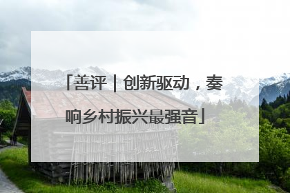 善评｜创新驱动，奏响乡村振兴最强音