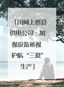 国网上蔡县供电公司：加强设备巡视 护航“三夏”生产