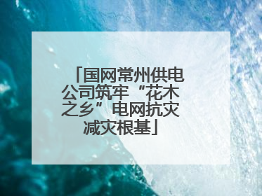 国网常州供电公司筑牢“花木之乡”电网抗灾减灾根基