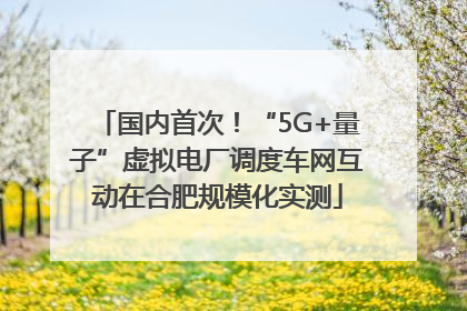 国内首次！“5G+量子”虚拟电厂调度车网互动在合肥规模化实测