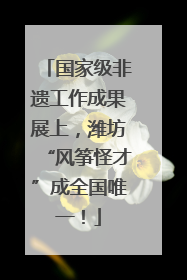 国家级非遗工作成果展上，潍坊“风筝怪才”成全国唯一！
