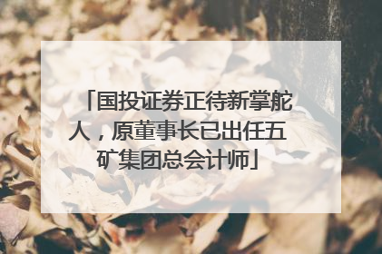 国投证券正待新掌舵人，原董事长已出任五矿集团总会计师