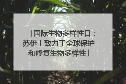 国际生物多样性日：苏伊士致力于全球保护和修复生物多样性