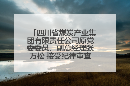 四川省煤炭产业集团有限责任公司原党委委员、副总经理张万松 接受纪律审查和监察调查