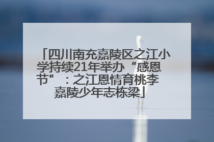 四川南充嘉陵区之江小学持续21年举办“感恩节”：之江恩情育桃李 嘉陵少年志栋梁