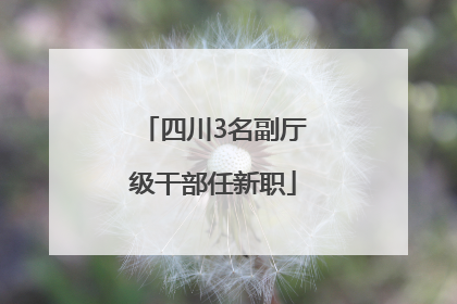 四川3名副厅级干部任新职