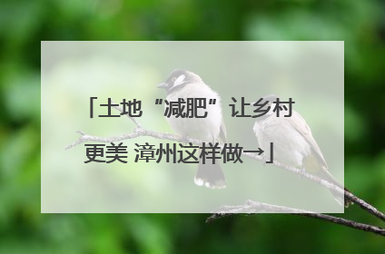 土地“减肥”让乡村更美 漳州这样做→