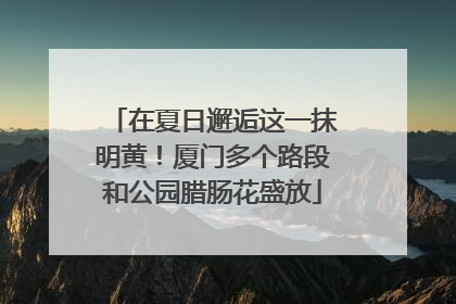 在夏日邂逅这一抹明黄！厦门多个路段和公园腊肠花盛放