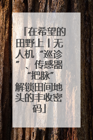 在希望的田野上丨无人机“巡诊”、传感器“把脉” 解锁田间地头的丰收密码
