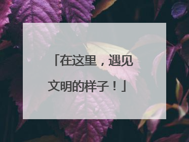 在这里，遇见文明的样子！