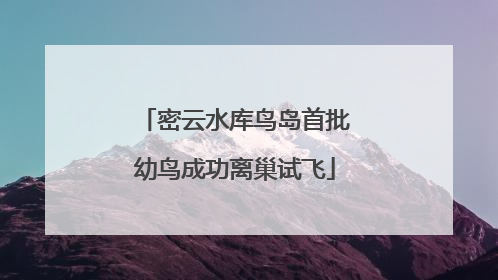 密云水库鸟岛首批幼鸟成功离巢试飞