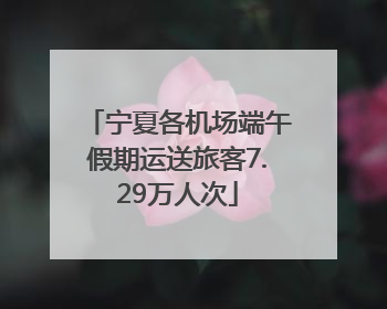 宁夏各机场端午假期运送旅客7.29万人次