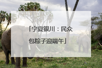 宁夏银川：民众包粽子迎端午