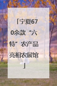 宁夏670余款“六特”农产品亮相农展馆