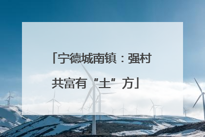 宁德城南镇：强村共富有“土”方