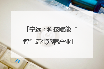 宁远：科技赋能“智”造蛋鸡鸭产业