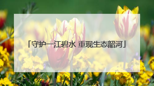 守护一江碧水 重现生态韶河