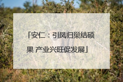 安仁：引凤归巢结硕果 产业兴旺促发展