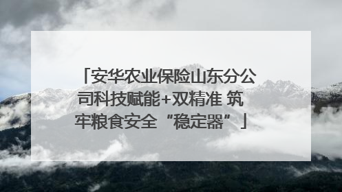 安华农业保险山东分公司科技赋能+双精准 筑牢粮食安全“稳定器”