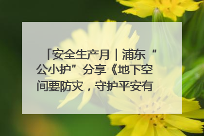 安全生产月｜浦东“公小护”分享《地下空间要防灾，守护平安有我在》安全谣